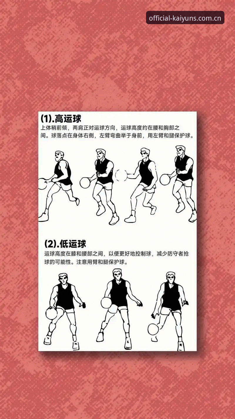 kaiyun体育官网使用完整指南：新手轻松上手到熟练操作